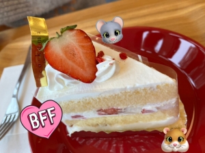 広島市中区のメンズエステメンズエステ ミセスティセ（tisse）の写メ日記　お知らせです♡👧画像