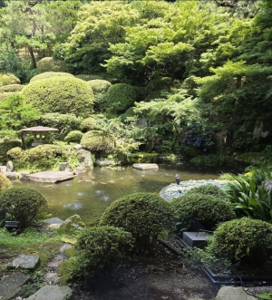 広島市中区のメンズエステ メンズエステ ミセスティセ（tisse）の写メ日記　★久々の出勤です★画像