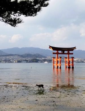 広島市中区のメンズエステメンズエステ ミセスティセ（tisse）の写メ日記　29日、30日のお礼画像