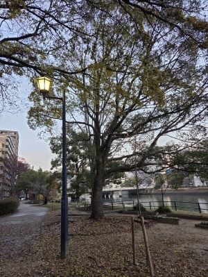 広島市中区のメンズエステメンズエステ ミセスティセ（tisse）の写メ日記　お礼画像