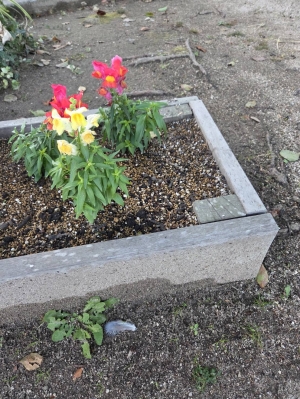 広島市中区のメンズエステメンズエステ ミセスティセ（tisse）の写メ日記　お礼画像