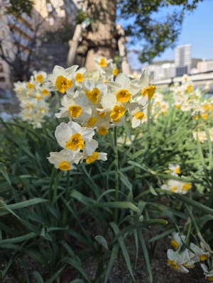 広島市中区のメンズエステメンズエステ ミセスティセ（tisse）の写メ日記　おはようございます 🌿🥯画像